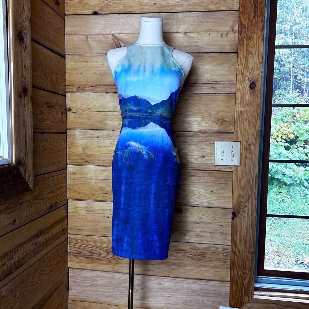 Mountain Lake Landscape Photo Print Dress Womens Large Blue Halter Bodycon HM